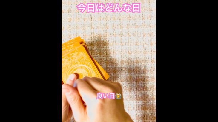 NABIのおまもりタロット🍊#霊視 #タロット #スピリチュアル