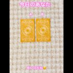 NABIのおまもりタロット🍊#霊視 #タロット #スピリチュアル