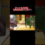 霊媒師に見てもらった猫　 #Shorts　 #猫ミーム　#スピリチュアル