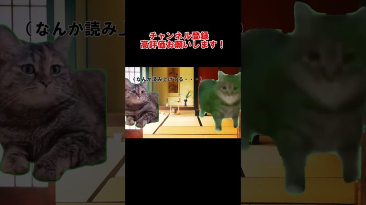 霊媒師に見てもらった猫　 #Shorts　 #猫ミーム　#スピリチュアル