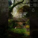 うさぎと飼い主のための瞑想動画 #Shorts #癒し #bgm #うさぎ飼育放棄