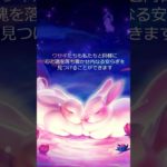 うさぎと飼い主のための瞑想動画 #Shorts #癒し #bgm #うさぎ飼育放棄