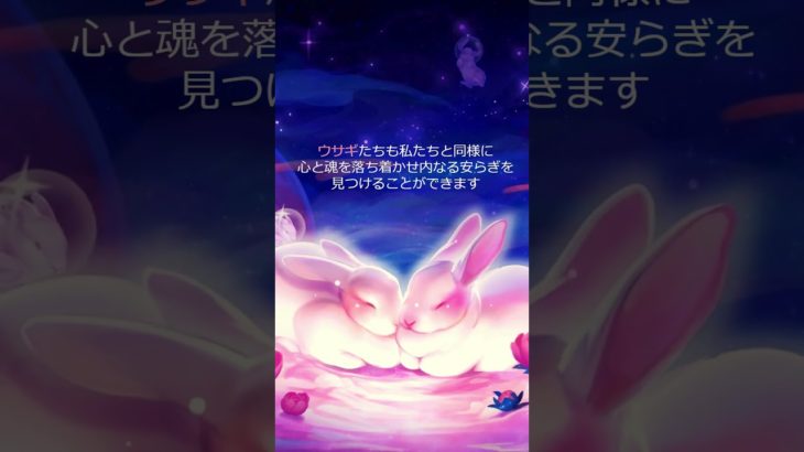 うさぎと飼い主のための瞑想動画 #Shorts #癒し #bgm #うさぎ飼育放棄