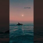 クジラと月、、#ヒーリングミュージック ＃癒しbgm#リラックス #piano #瞑想