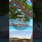 ＼本質に触れる／#呼吸瞑想 #呼吸法 #深呼吸 #心 #セルフヒーリング #癒し #breathe #breathout #meditation #selfhealing #nature