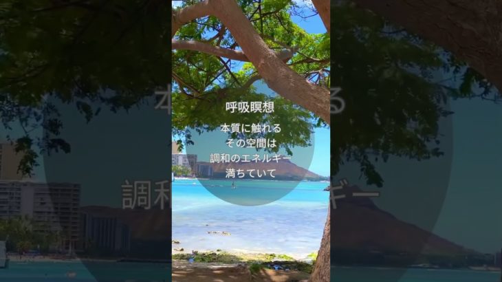 ＼本質に触れる／#呼吸瞑想 #呼吸法 #深呼吸 #心 #セルフヒーリング #癒し #breathe #breathout #meditation #selfhealing #nature