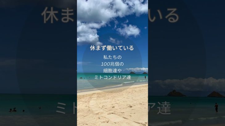 ＼呼吸が紡ぐ小宇宙／#呼吸法 #深呼吸 #セルフヒーリング #癒し #呼吸瞑想 #breathe #deepbreathing#wellbeing#stressrelief