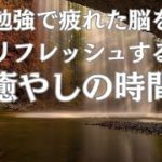 【healing music】勉強で疲れた脳をリフレッシュする癒しの時間　refresh your brain　隙間時間で聴く癒やしの音楽　#ヒーリングミュージック