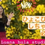 ぶれない身体を作ろう！#フラダンス #ウクレレ #ダイエット #スピリチュアル #レイメイキング#生徒募集中 #橿原市 @luana_8888