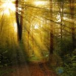 自律神経を整える癒しの音楽　ヒーリングミュージック　瞑想　ヨガ　meditation yoga Instrumental music, stress relief music, relax music