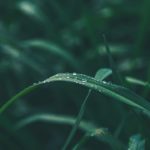 自律神経を整える癒しの音楽　ヒーリングミュージック　瞑想　ヨガ　meditation yoga Instrumental music, stress relief music, relax music