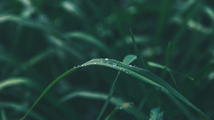 自律神経を整える癒しの音楽　ヒーリングミュージック　瞑想　ヨガ　meditation yoga Instrumental music, stress relief music, relax music