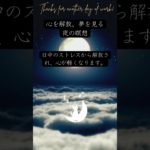 心を解放、夢を見る夜の瞑想。　眠りネコmugiの瞑想 (Good Sleep with Meditation) #shorts