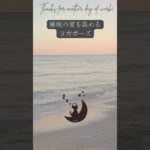 睡眠の質を高めるヨガポーズ。　眠りネコmugiの瞑想 (Good Sleep with Meditation) #shorts