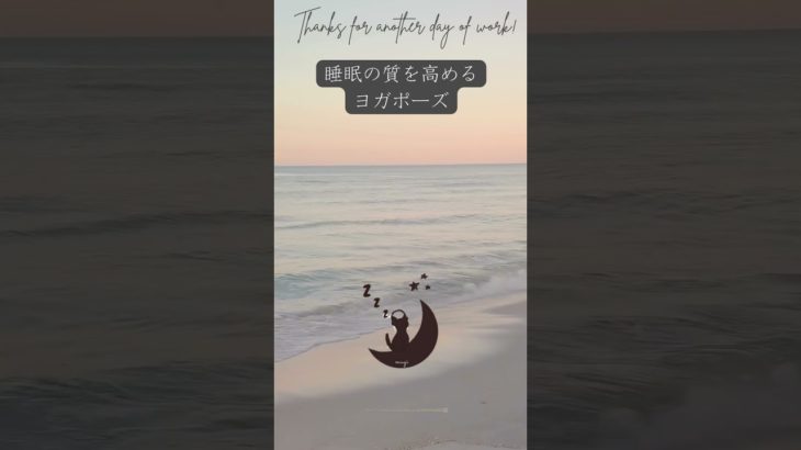 睡眠の質を高めるヨガポーズ。　眠りネコmugiの瞑想 (Good Sleep with Meditation) #shorts