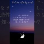 星々のささやき、夜空のメロディ。 眠りネコmugiの瞑想 (Good Sleep with Meditation) #shorts