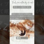 「明日への期待を育む」眠りネコmugiの瞑想 (Good Sleep with Meditation) #shorts