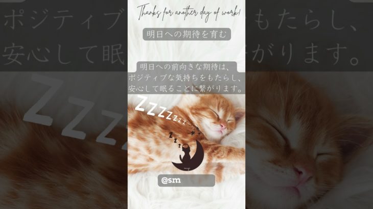 「明日への期待を育む」眠りネコmugiの瞑想 (Good Sleep with Meditation) #shorts