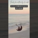 ストレス解消のための夜の瞑想。　眠りネコmugiの瞑想 (Good Sleep with Meditation) #shorts