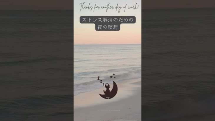ストレス解消のための夜の瞑想。　眠りネコmugiの瞑想 (Good Sleep with Meditation) #shorts