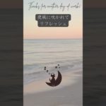 夜風に吹かれてリフレッシュ。　眠りネコmugiの瞑想 (Good Sleep with Meditation) #shorts