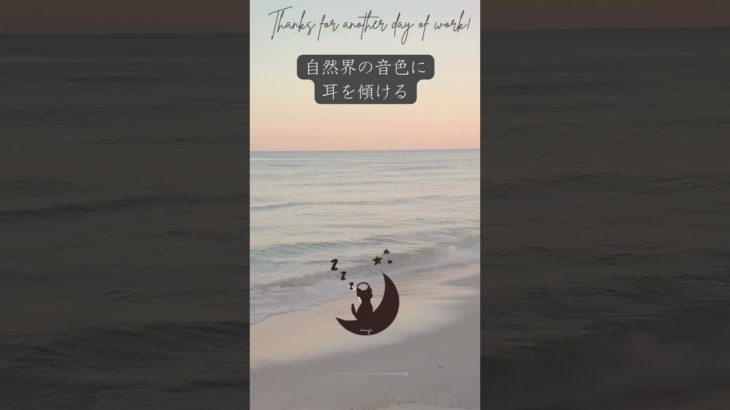 自然界の音色に耳を傾ける。　眠りネコmugiの瞑想 (Good Sleep with Meditation) #shorts