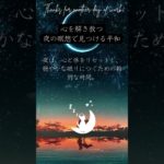 心を解き放つ、夜の瞑想で見つける平和。　眠りネコmugiの瞑想 (Good Sleep with Meditation) #shorts