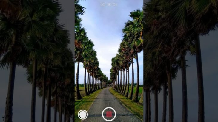 music can positively impact our mental and emotional well being#shorts  #CLASSICAL