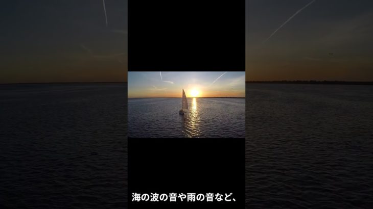 おすすめの睡眠グッズshort #リラックス #癒し #睡眠 #瞑想 #bgm #睡眠の質 #疲れ #健康#睡眠グッズ