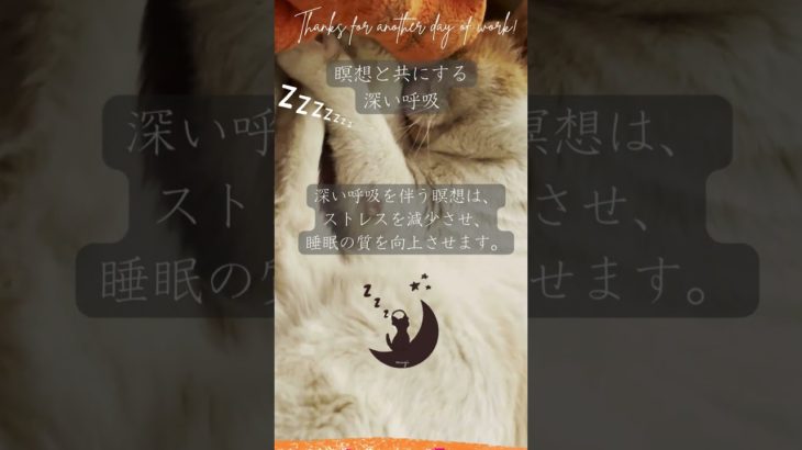 #睡眠 #瞑想 #カントリーミュージック #哲学 #ねこ #shorts