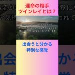 【運命の相手】ツインレイとは？ #ツインレイ #スピリチュアル #shorts