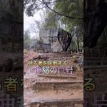 【神の奇跡】頑張る人をサポートする💪パワースポット　#shorts #スピリチュアル #vlog #神社