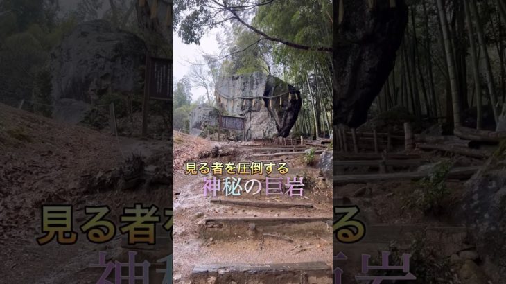 【神の奇跡】頑張る人をサポートする💪パワースポット　#shorts #スピリチュアル #vlog #神社