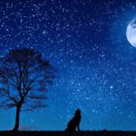 【癒しの瞑想】心と体をリセットするための瞑想音楽とガイド付き瞑想動画です♪