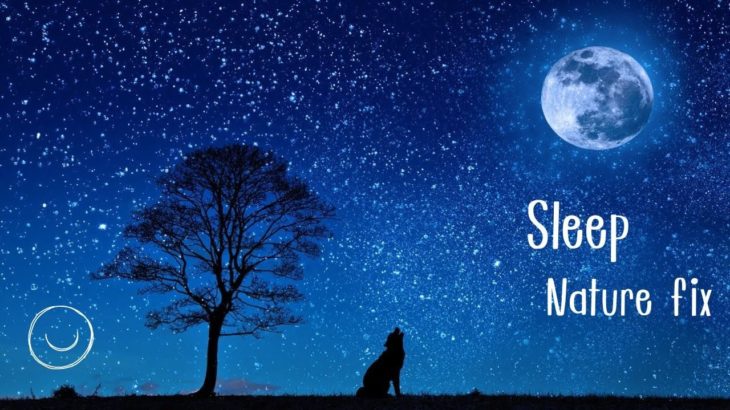 【癒し音楽】深いく眠れる音楽・リラックス・瞑想・安らぎと平和・幸福感