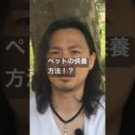 ペットの供養方法！？　#スピリチュアル　#ペット　#供養の仕方
