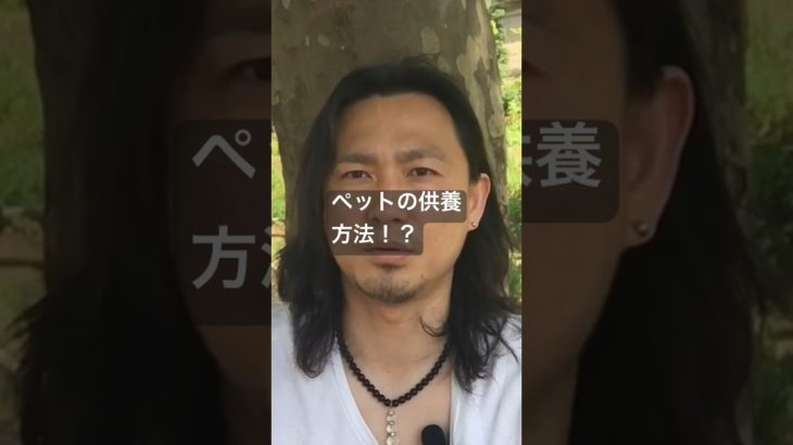 ペットの供養方法！？　#スピリチュアル　#ペット　#供養の仕方