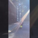 安心して休もう✨#幸運 #願望実現#神社#スピリチュアル #繊細 #メンタルヘルス ＃潜在意識#潜在能力#引き寄せの法則 #エネルギー #マインドフルネス  #生きる術 #開運の秘訣#休息