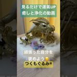 #龍神様 #癒し #龍神 #スピリチュアル #龍神パワー #浄化 #金運アップ #つくもぐるみ #神様が宿るぬいぐるみ #金龍 #虹龍