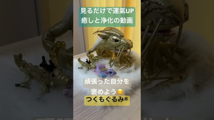 #龍神様 #癒し #龍神 #スピリチュアル #龍神パワー #浄化 #金運アップ #つくもぐるみ #神様が宿るぬいぐるみ #金龍 #虹龍