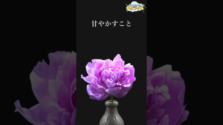 そのままのあなたで輝く【大天使ミカエルからのスピリチュアルメッセージ】