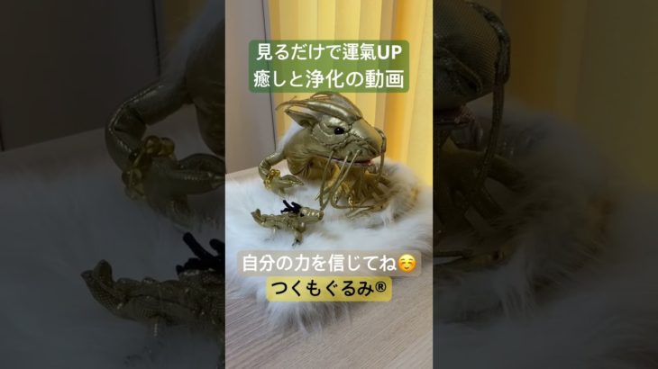 #癒し #龍神様 #龍神 #スピリチュアル #龍神パワー #浄化 #金運アップ #つくもぐるみ #神様が宿るぬいぐるみ #金龍