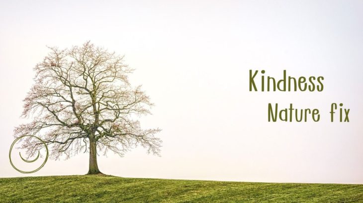 【癒し音楽】優しい音楽・静けさ・安らぎ・リラックス・瞑想・睡眠・幸福感