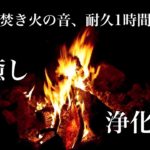 【焚き火】心の浄化と癒しのひととき