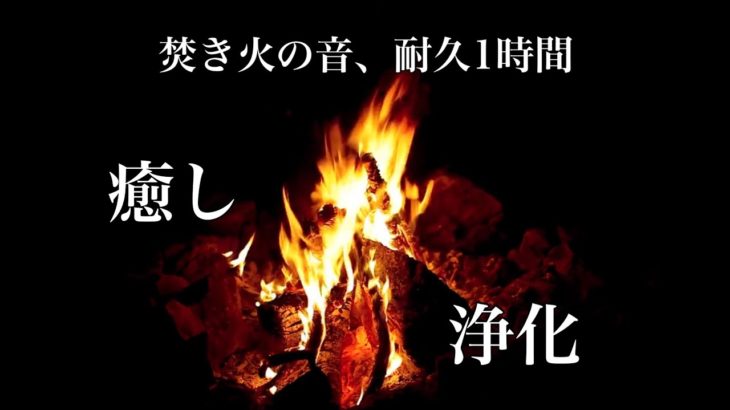 【焚き火】心の浄化と癒しのひととき