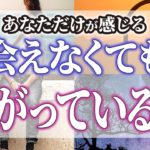 【ゆっくりスピリチュアル】あなただけです！●●があったら、ツインレイと繋がっている証【ゆっくり解説】