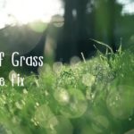 【癒し音楽】草原の匂い・心地よい音楽・お昼寝・睡眠・リラックス・瞑想・幸福感