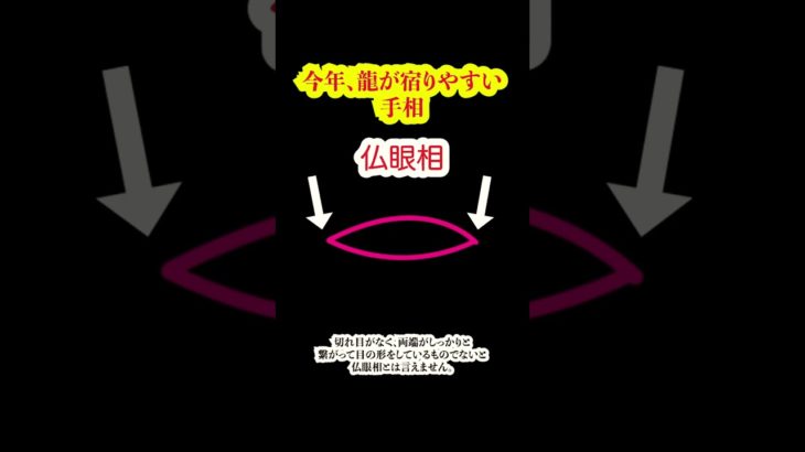 今年、龍が宿りやすい手相 #手相 #占い #龍神 #スピリチュアル #開運 #龍神様のご加護がある