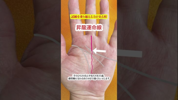 試練を乗り越える力を持つ手相 #龍神 #スピリチュアル #手相 #占い #強運