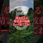 ⚠️幸運を呼ぶ精霊の奇跡映像⚠️ #スピリチュアル #人生激変 #奇跡 #開運